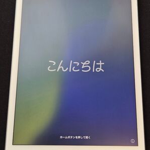 【美品】iPad mini5 セルラー 256GB シルバー