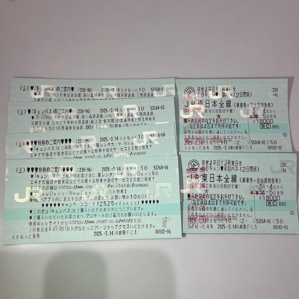旅せよ平日!JR東日本たびキュン早割バス(2日間用) 2枚分