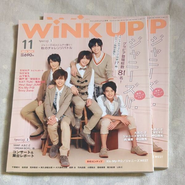 WINK UP(ウインクアップ) 2014年11月号 (ワニブックス)