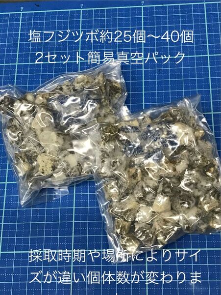 2セット フジツボ塩漬 クロダイ釣り ヘチ釣り 落とし込み