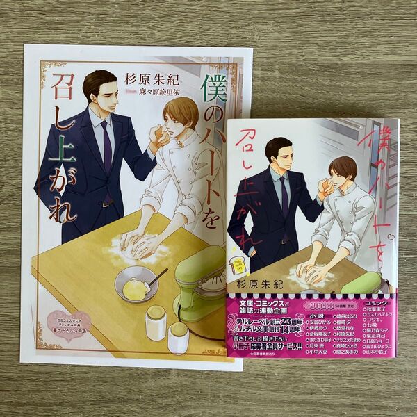 僕のハートを召し上がれ/杉原朱紀/BL小説