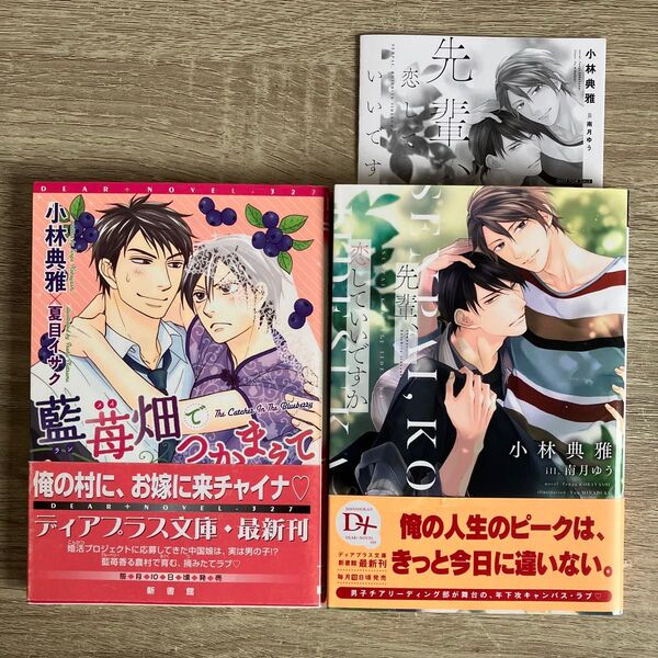 藍苺畑でつかまえて、他/小林典雅/BL小説