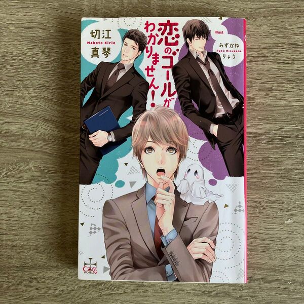 恋のゴールがわかりません!/切江真琴/BL小説【新書】