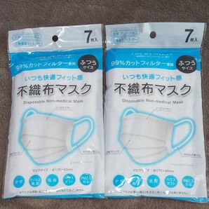 立体マスク 不織布 マスク