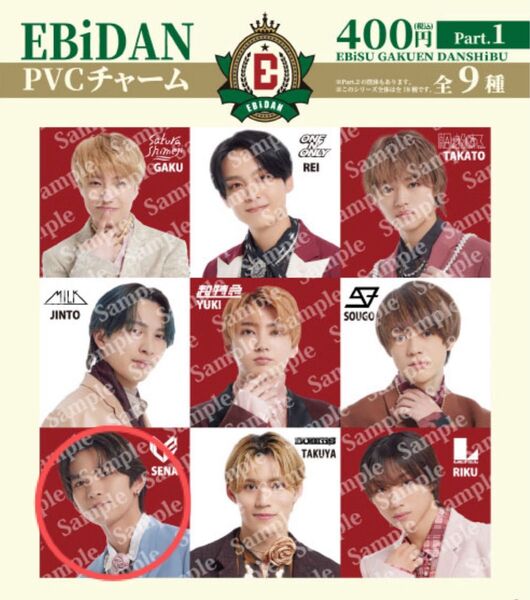 EBiDAN ガチャガチャ ICEx 竹野世梛 PVCチャーム Part.1 あいす sena