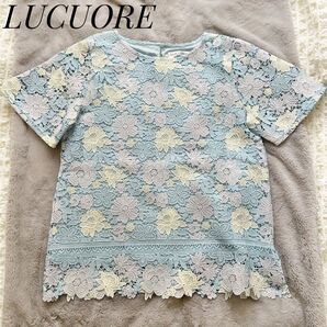 LUCUORE 総レース 刺繍 カットソー