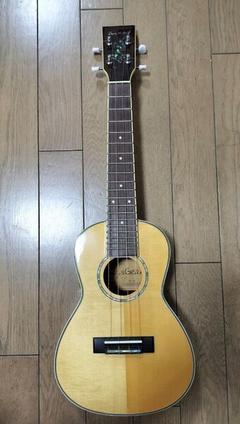【出品者送料負担】BugsGear BS-30 コンサートサイズ