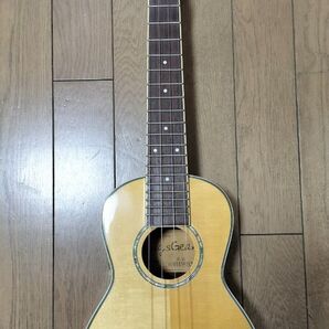 【出品者送料負担】BugsGear BS-30 コンサートサイズ