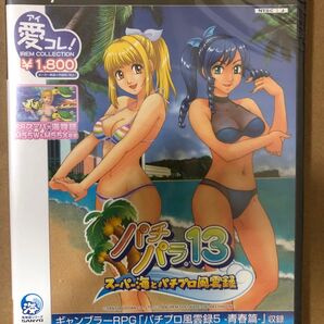 (新品、未開封)PS2 パチパラ13 スーパー海とパチプロ風雲録