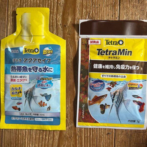 Tetra アクアセイフとテトラミン