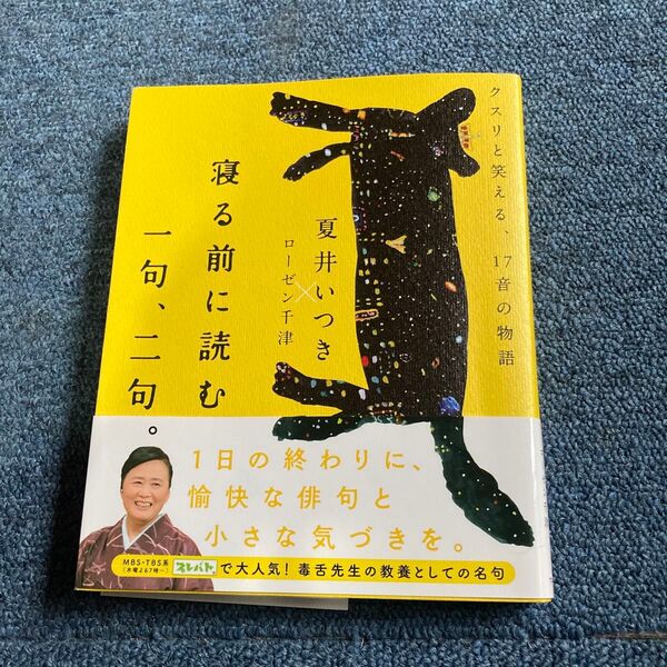 寝る前に読む一句、二句。 夏井いつき