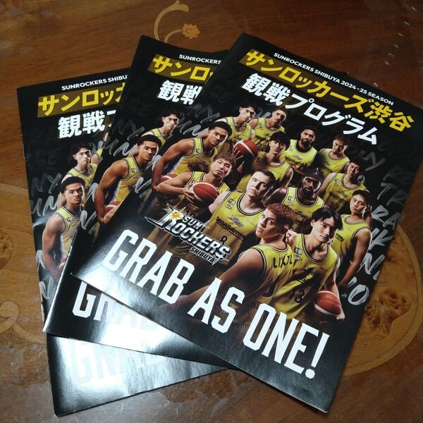 【3枚 観戦プログラム】サンロッカーズ渋谷 2025年3月23日 有明コロシアム プログラム 配布品