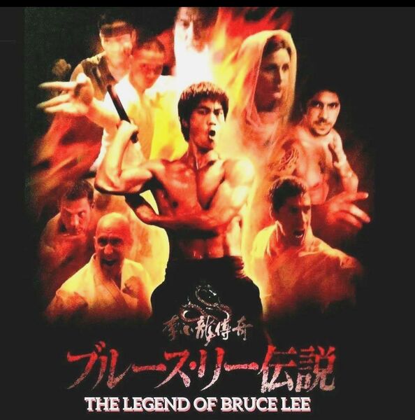 ■BRUCE LEE/ブルース・リー伝説:DVDコンプリートBOXセット《SAMPLE》★レア
