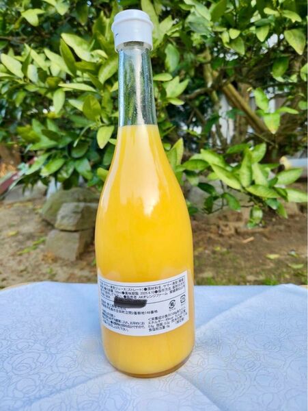 愛媛県中島産 無添加100%サマー清見ジュース 12本