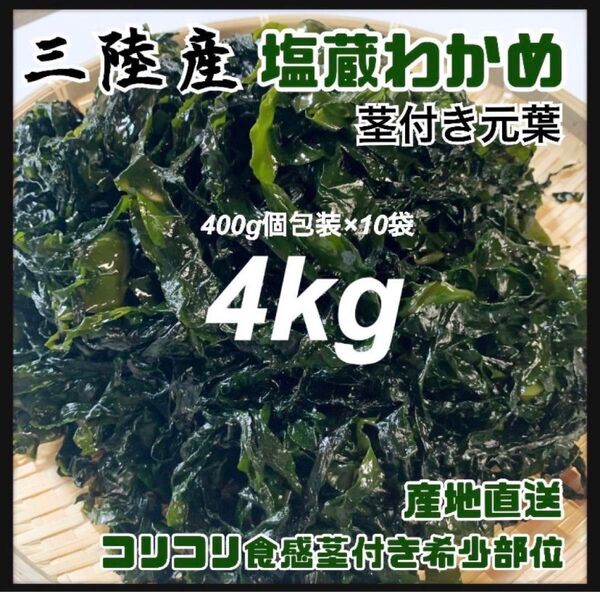 【希少コリコリ食感】塩蔵元葉わかめ 茎付き 4kg 三陸産 美味しい 400g×10袋 美味しく 東北 国産わかめ ワカメわかめ