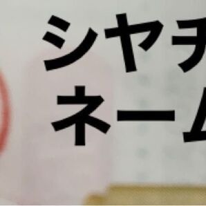 シャチハタ 印面のみ ネームペン 田中