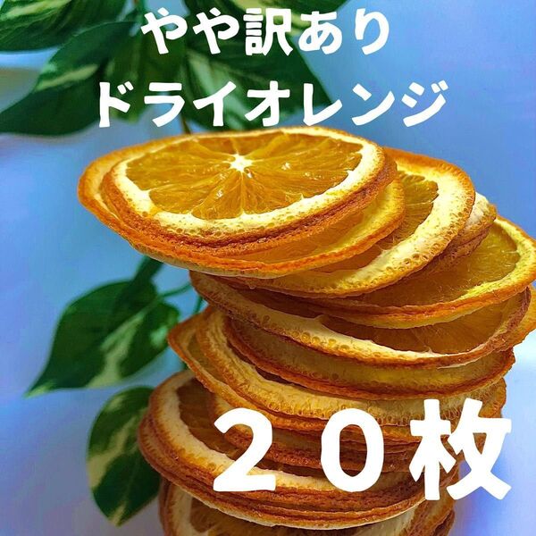 やや訳あり ドライオレンジ 20枚 ドライフルーツ 花材 素材