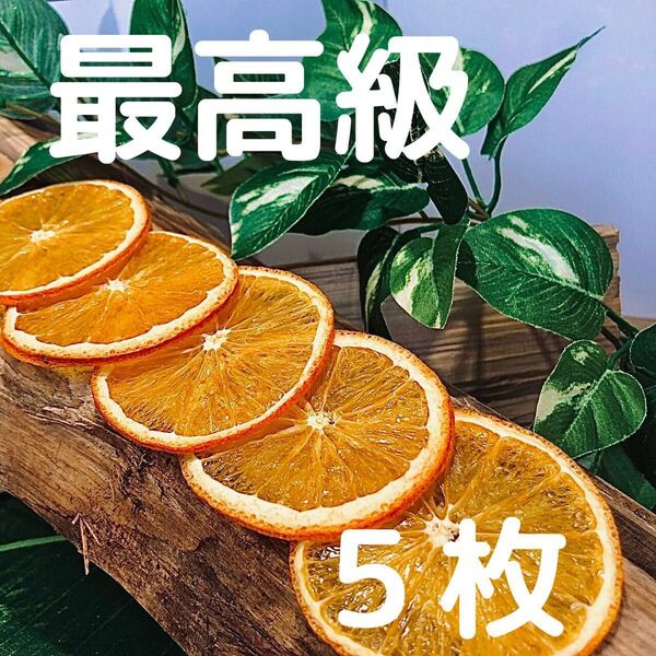 【最高級】ドライオレンジ 5枚 ドライフルーツ 花材 素材