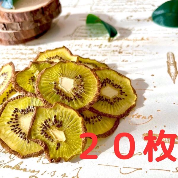ドライキウイ 20枚 ドライフルーツ 花材 素材