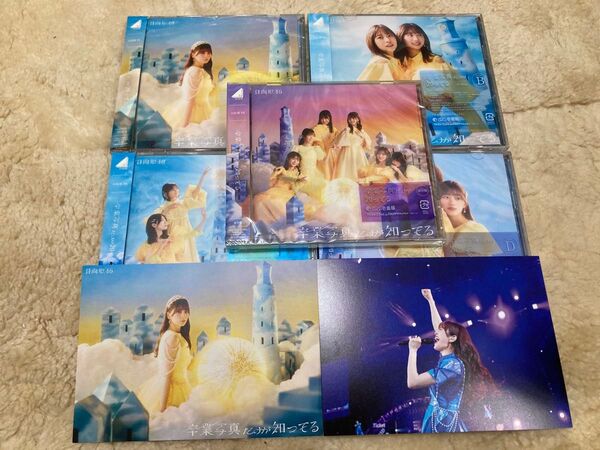 【佐々木久美ポストカード】日向坂46 卒業写真だけが知ってる 初回盤ABCD通常5枚セット