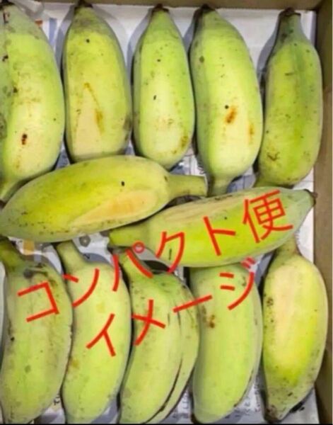 ナムア バナナ コンパクト便
