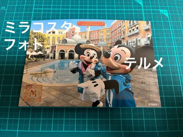 ディズニーシー ホテル ミラコスタ フォト ミッキーミニー テルメ ヴェネツィア