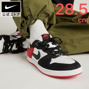 《新品》NIKE SB ALLEYOOP スニーカー 28.5cm