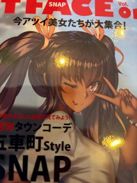 lilith レンチキュラーカード ホルダーT FACE Vol.01 ~五車町スナップ~ 対魔忍 3D