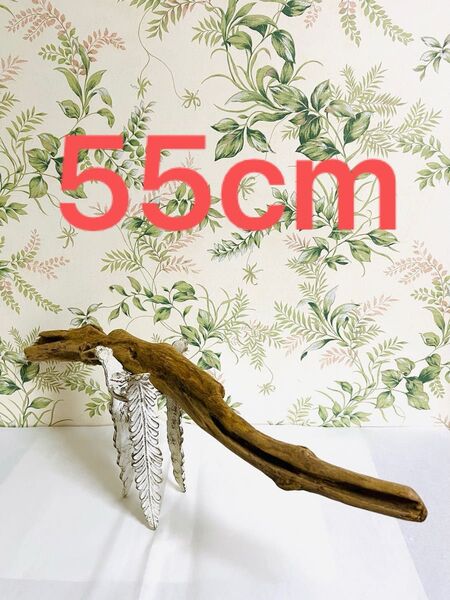 天然流木55cm エアープランツ 爬虫類 ビオトープ止まり木流木アートDIY インテリアアート