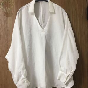 未使用 コルテラルゴ シアーブラウス オンオフ使える綺麗めブラウス