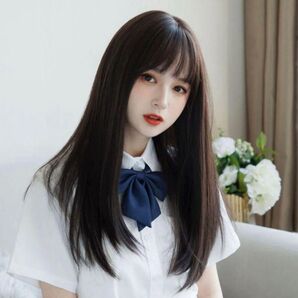 ウィッグ ロング 髪の毛 黒髪 黒髪フルウィッグ ロングストレート コスプレ 自然 韓国 耐熱