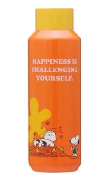 スターバックス スヌーピー コラボ オレンジ PEANUTS Charlie Brown チャーリーブラウン 箱入り