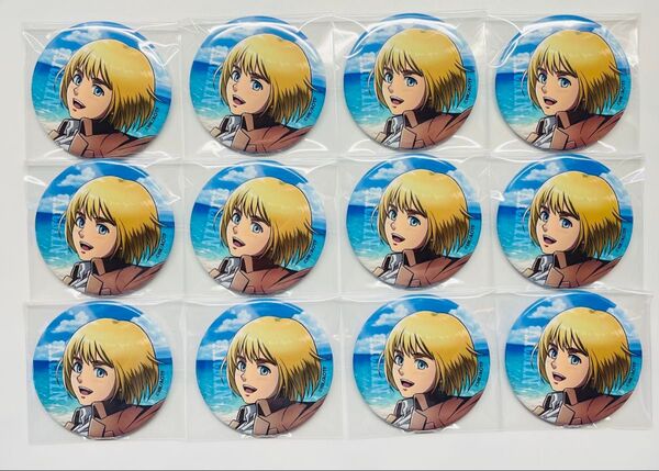 進撃の巨人 アルミン×12 缶バッジ カラオケの鉄人 海