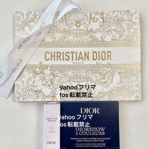 Dior ディオールショウ サンク クルール クリスマス コレクション 2023 数量限定品 543 プロムナード ドレ