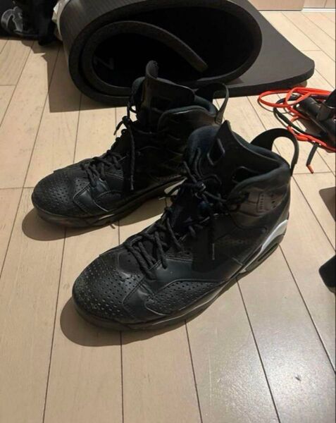 Jordan Air Jordan 6 ブラックキャット 30cm
