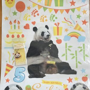 アドベンチャーワールド 彩浜 5歳バースデー ウォールステッカー & アクリルチャームセット