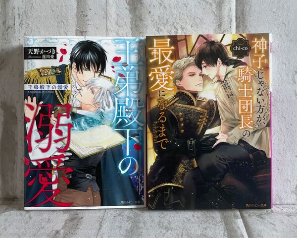 王弟殿下の溺愛 神子じゃない方が、騎士団長の最愛になるまで BL小説 2冊セット