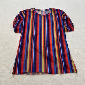 ZARA ザラ トップス カラフル Sサイズ シースルー レディース