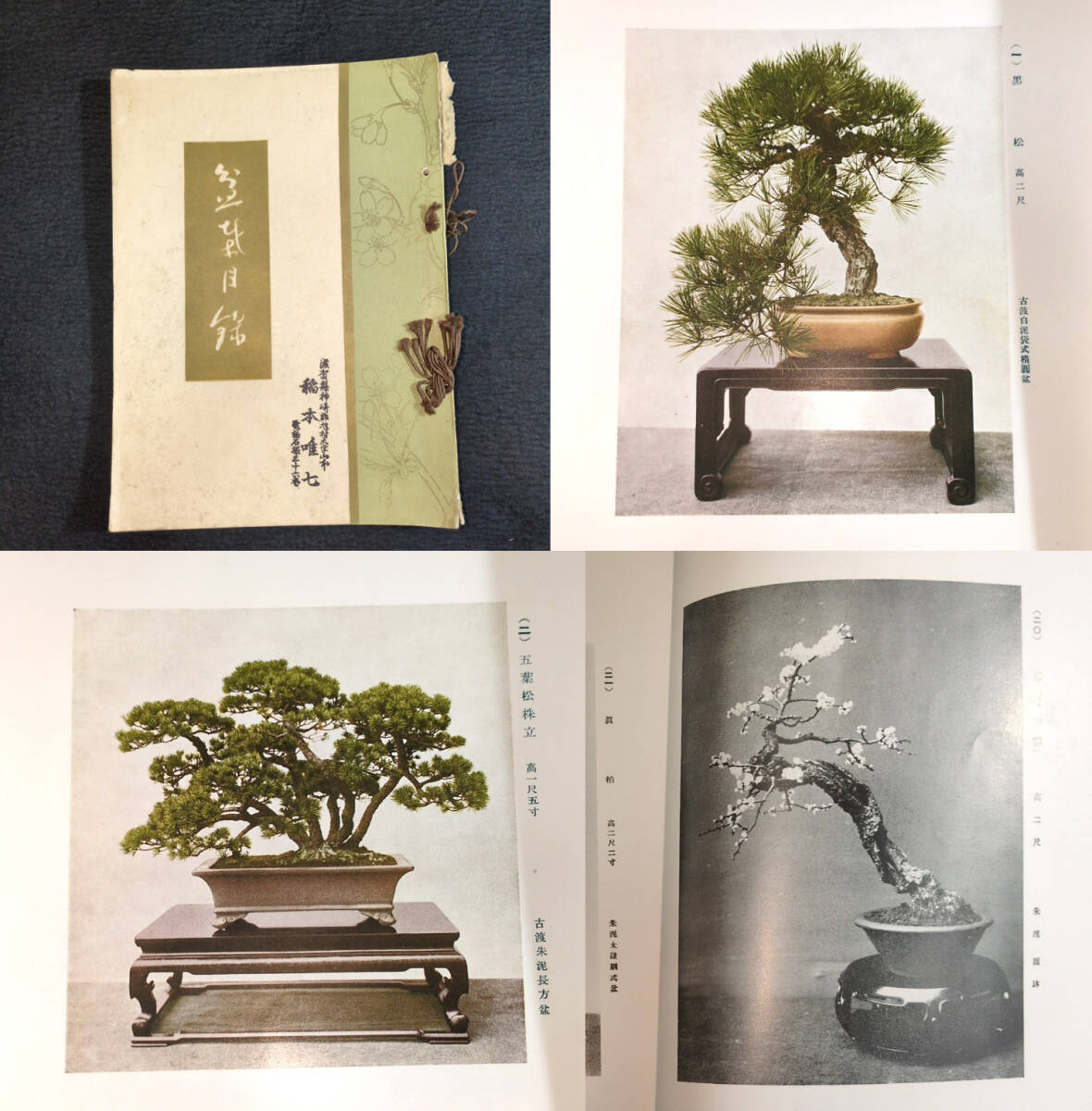 2025年最新】Yahoo!オークション -盆栽(本、雑誌)の中古品・新品 2025年最新】Yahoo!オークション -盆栽(本、雑誌)の中古品・新品