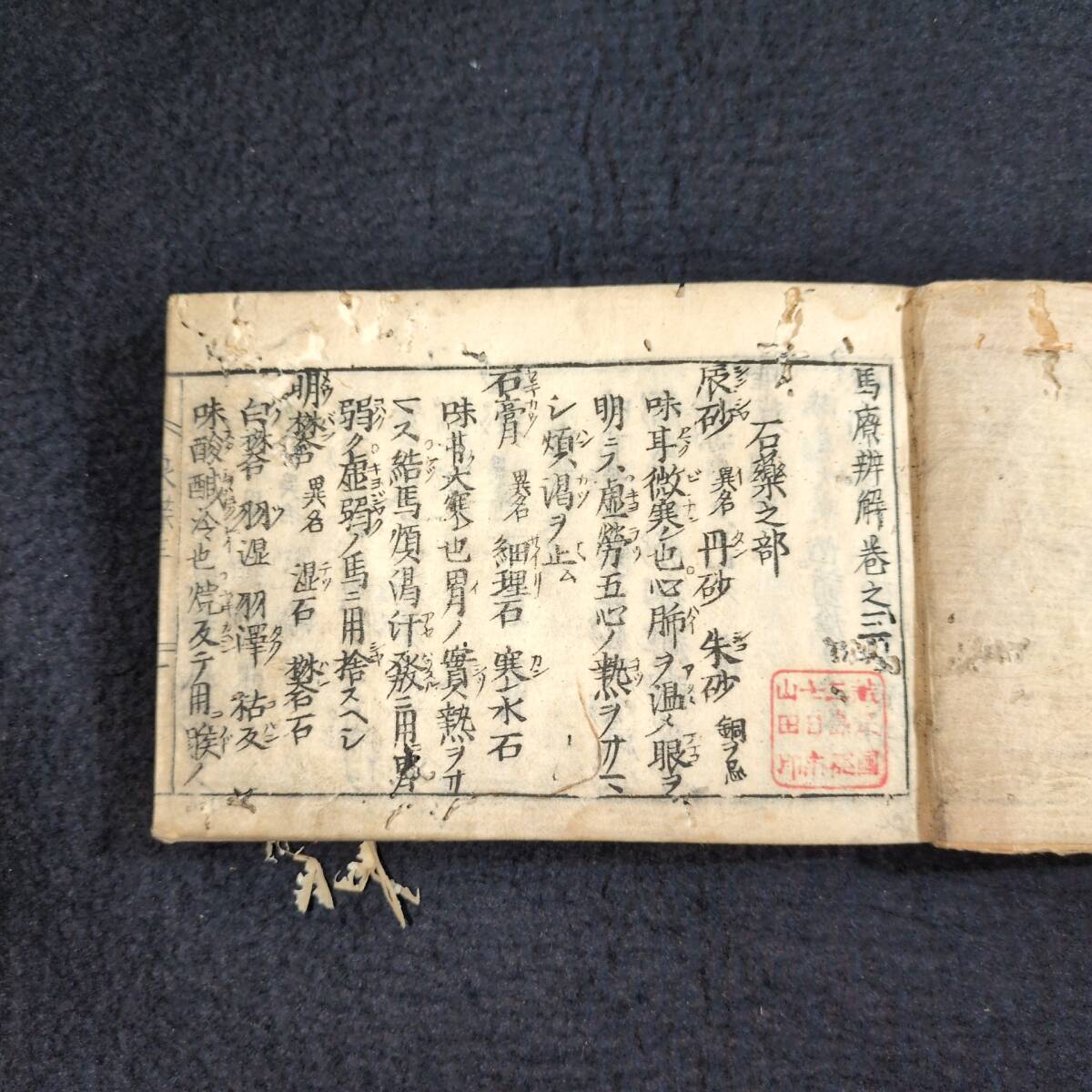 2025年最新】Yahoo!オークション -獣医学(本、雑誌)の中古品 2025年最新】Yahoo!オークション -獣医学(本、雑誌)の中古品