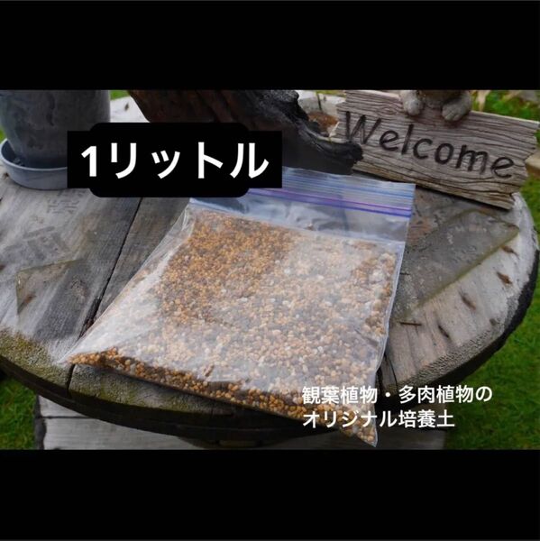 観葉植物・多肉植物用オリジナル培養土【1リットル】