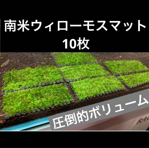 南米ウィローモスマット【10枚】