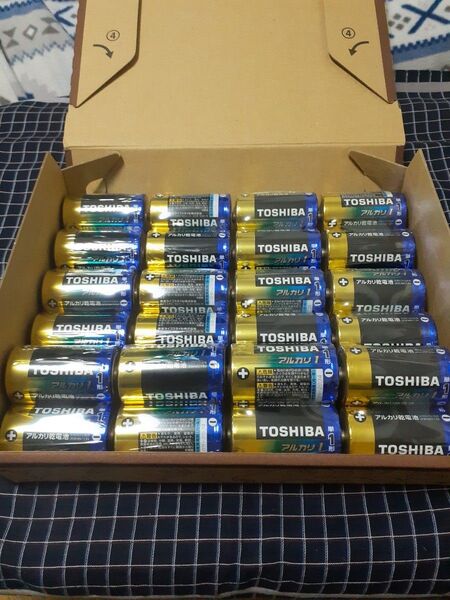 期限長持ち 東芝 TOSHIBA 単一 単1 単1電池 アルカリ乾電池 2個パック×12 計24本 ヤフネココンパクト宅急便