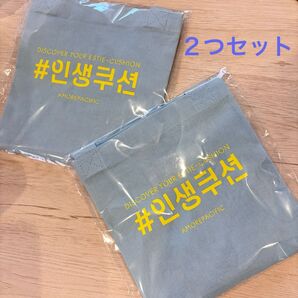 エコバッグ 二つセット