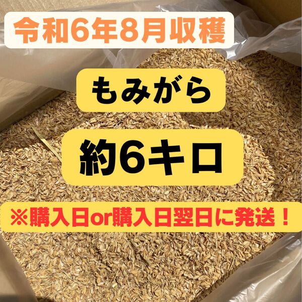 もみ殻(米)約6キロ 購入日or購入日翌日に発送!