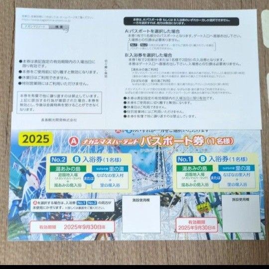 ナガシマスパーランド パスポート券 湯あみの島 入浴券