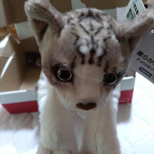 アメリカンショートヘア ぬいぐるみ