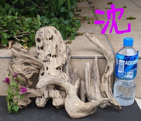 TN6【沈水確認】流木『小型サイズ』6個組水槽用レイアウト用品アク抜き済