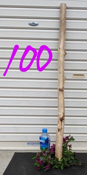E12ロングまっすぐ流木【極太サイズ】100cm 木工材料/洗浄済