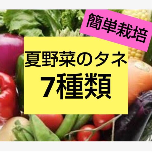 夏野菜の種 7種類セット 家庭菜園 簡単 栽培 ガーデニング